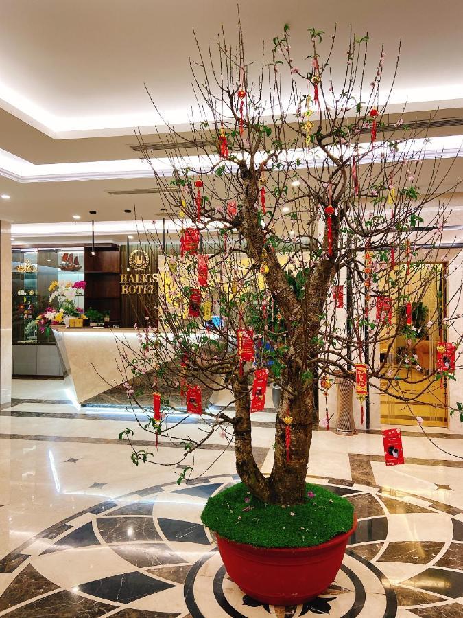 Halios Halong Hotel Ха Лонг Екстериор снимка
